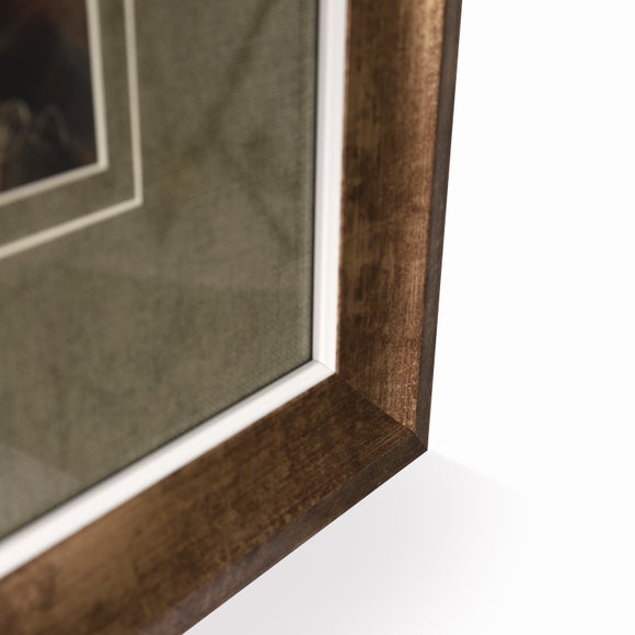 Noble Threads Framed Print